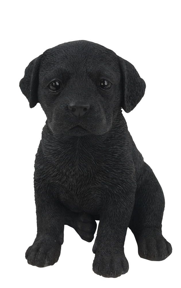 87771-R - BLACK LABRADOR PUPPY SITTING / 6.5&quot; H