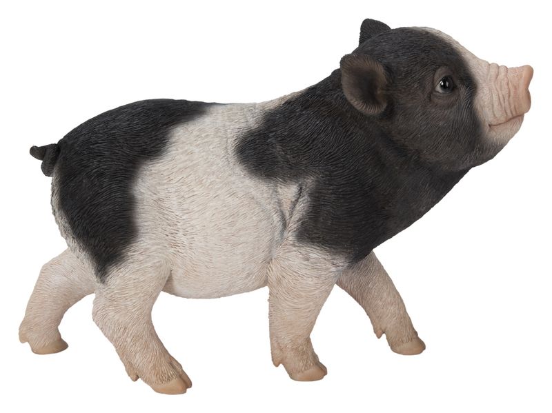 87726-F - PIG / 5.71" H