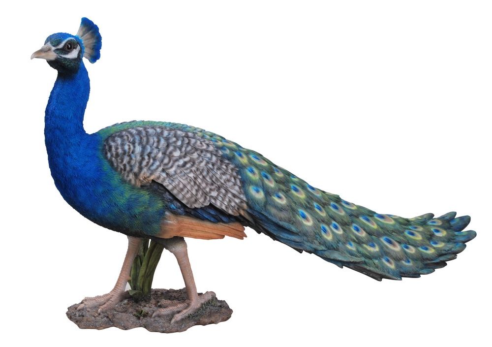 87809 - PEACOCK / 18.5&quot; H