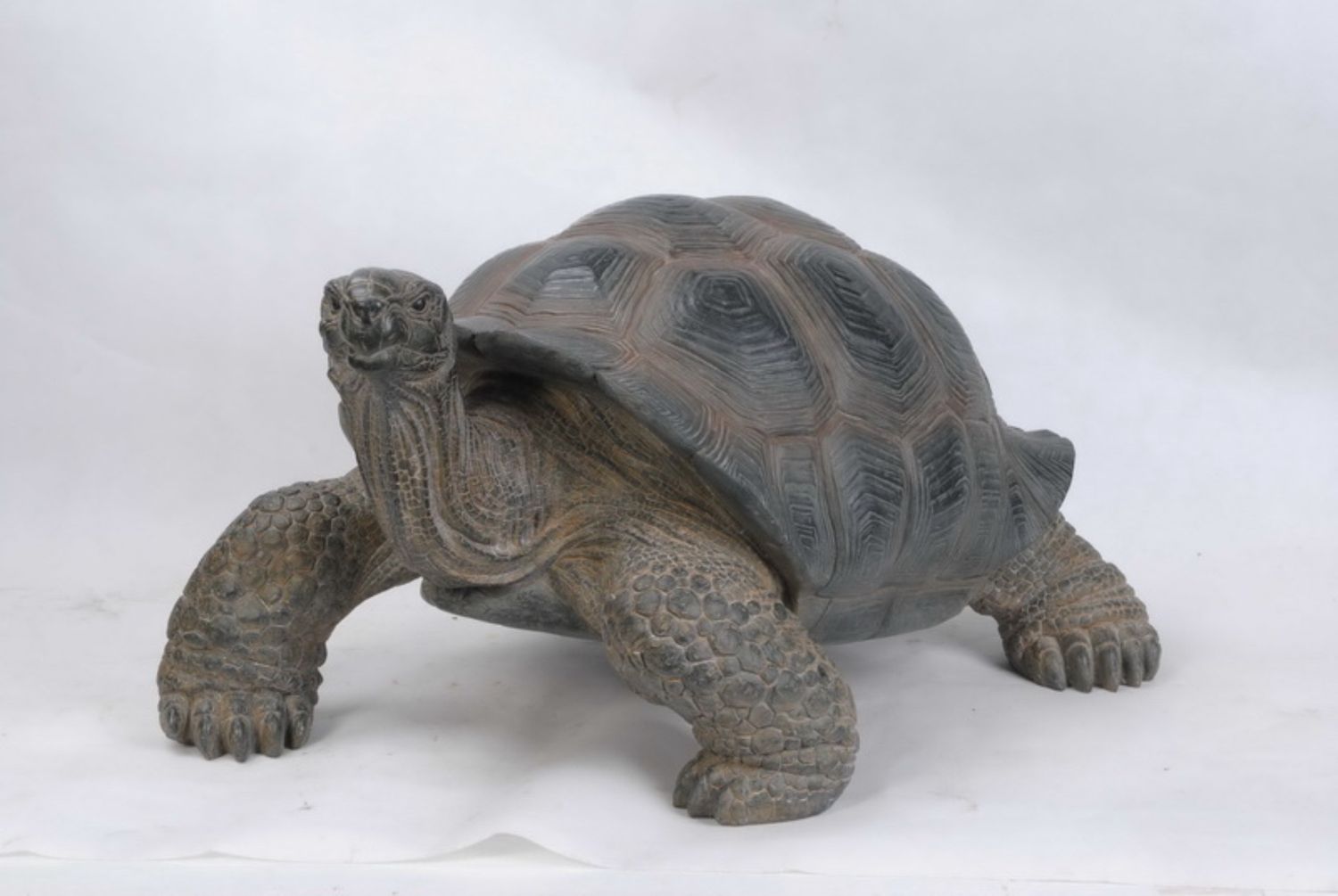 87761-L - TORTOISE XL / 14&quot; H