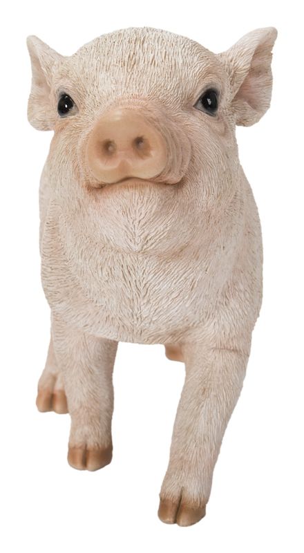 87726-E - PIG / 5.71&quot; H