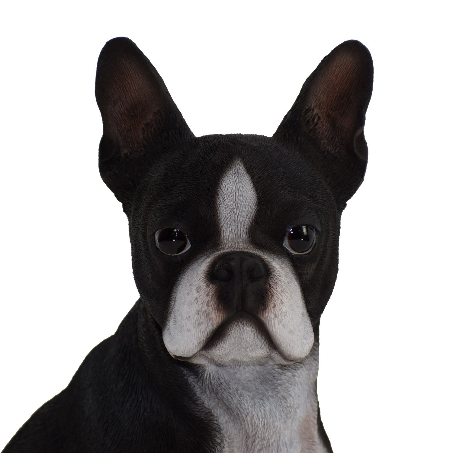 87791 - BOSTON TERRIER / 16.5&quot; H