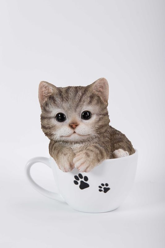 87707-B - TEACUP KITTEN GREY TABBY / 5.75" H