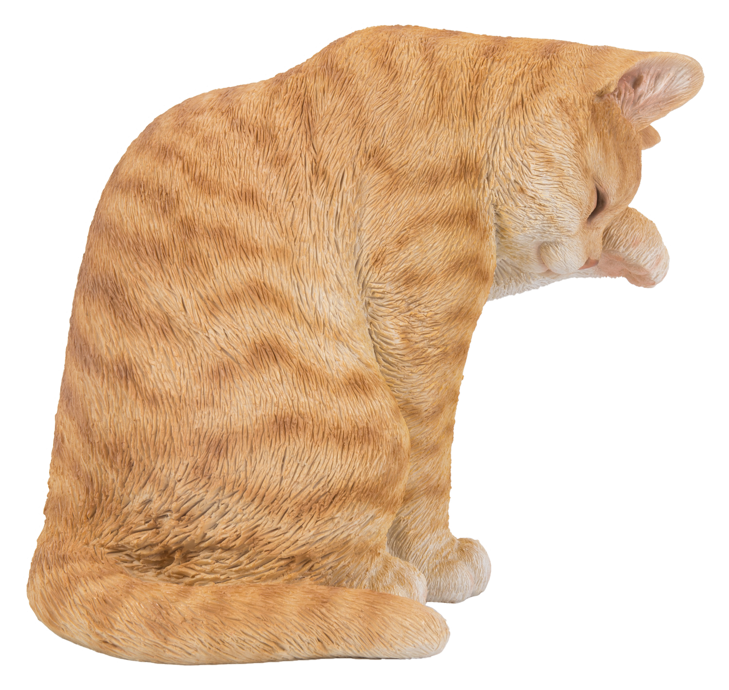 87698-A - AMERICAN SHORTHAIR WASHING / 10.25&quot; H