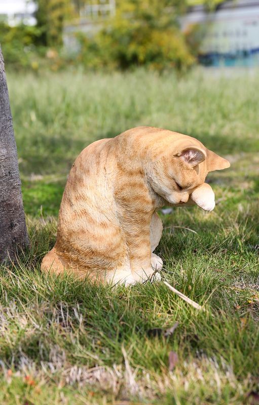 87698-A - AMERICAN SHORTHAIR WASHING / 10.25" H