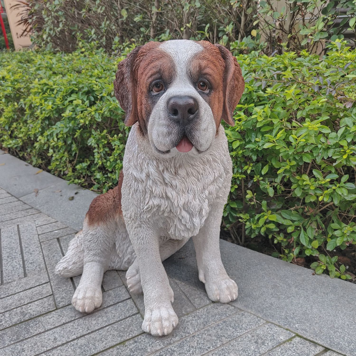 87631- SAINT BERNARD