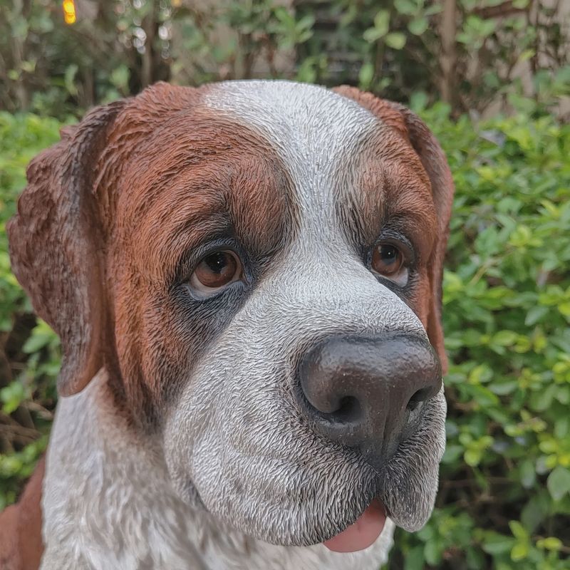 87631- SAINT BERNARD
