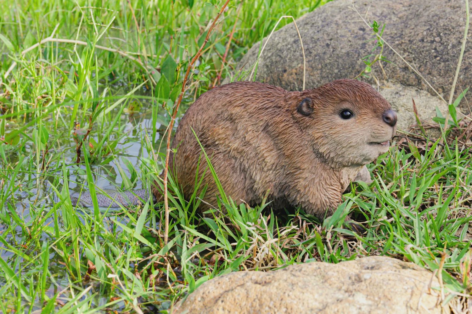 87666-B - BEAVER CUB / 5.43&quot; H