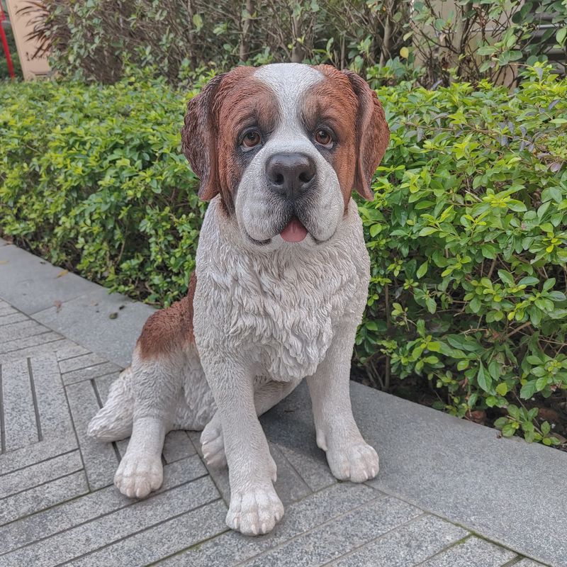 87631- SAINT BERNARD
