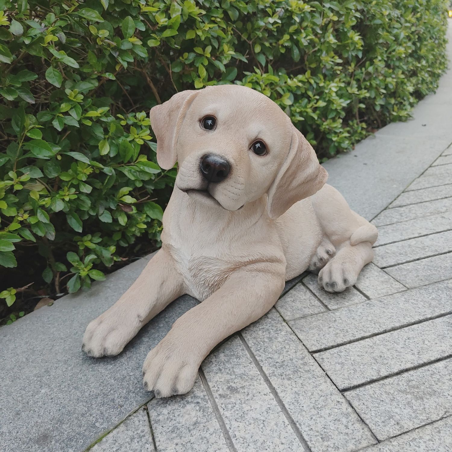 87632-YL - LABRADOR LYING - YELLOW