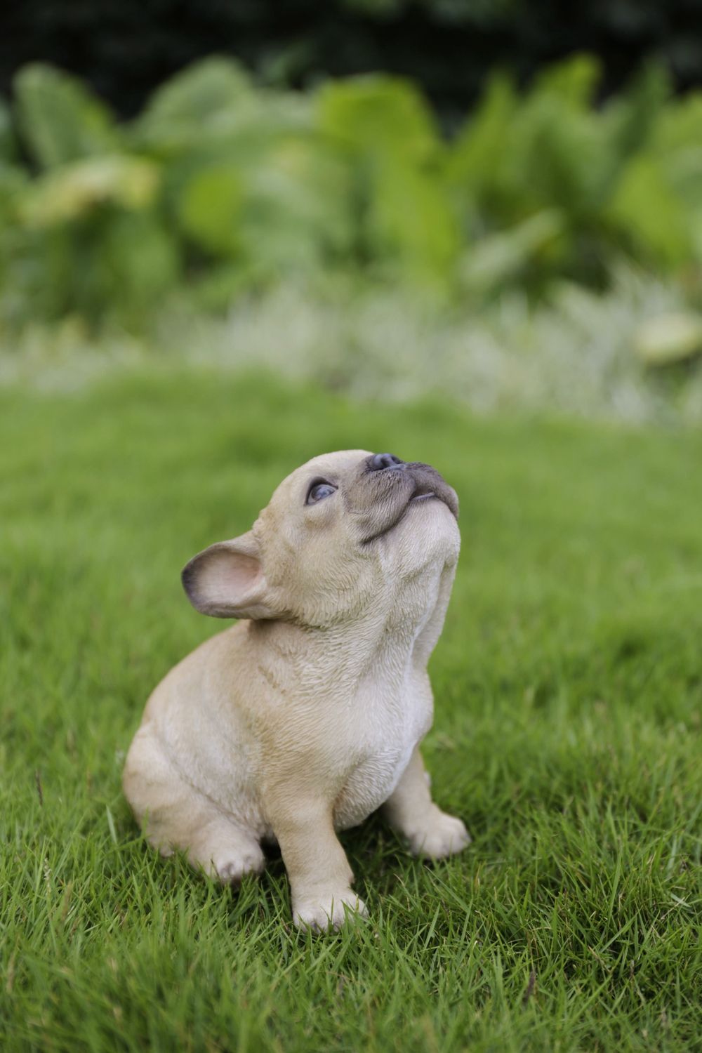 87703-F - FRENCH BULLDOG PUPPY HOWLING / 6.42&quot; H