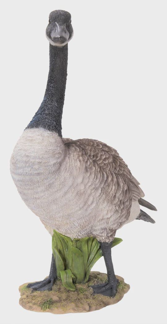 87662 - CANADA GOOSE / 19.84&quot; H