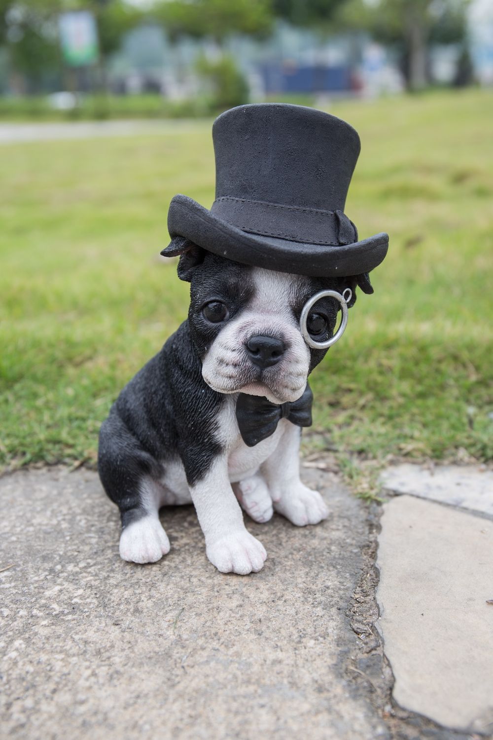 87702-B - BOSTON TERRIER W/TOP HAT/SPECTACLE/BOW TIE / 8&quot; H