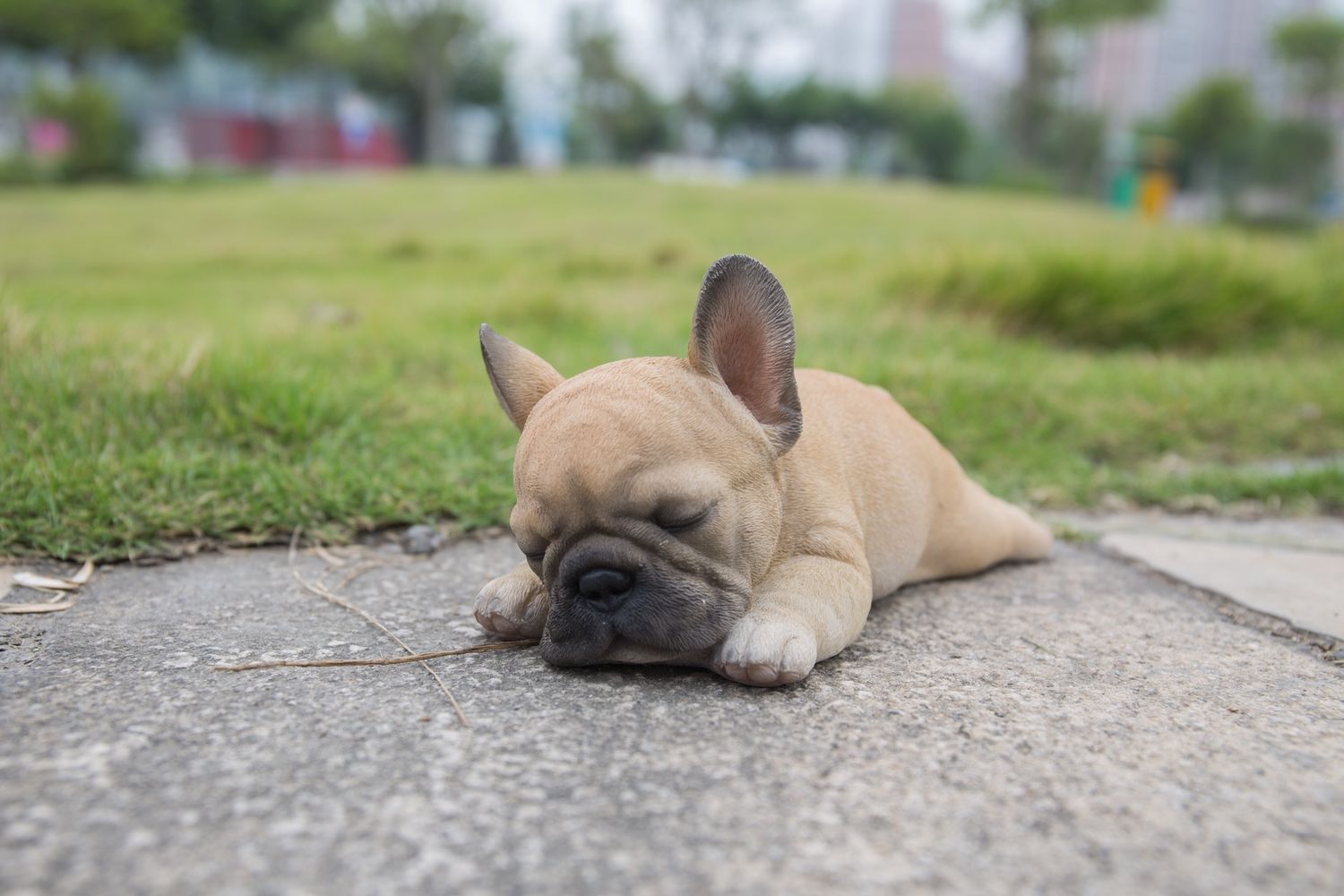 87710-G - FRENCH BULLDOG PUPPY SLEEPING / 3.7&quot; H