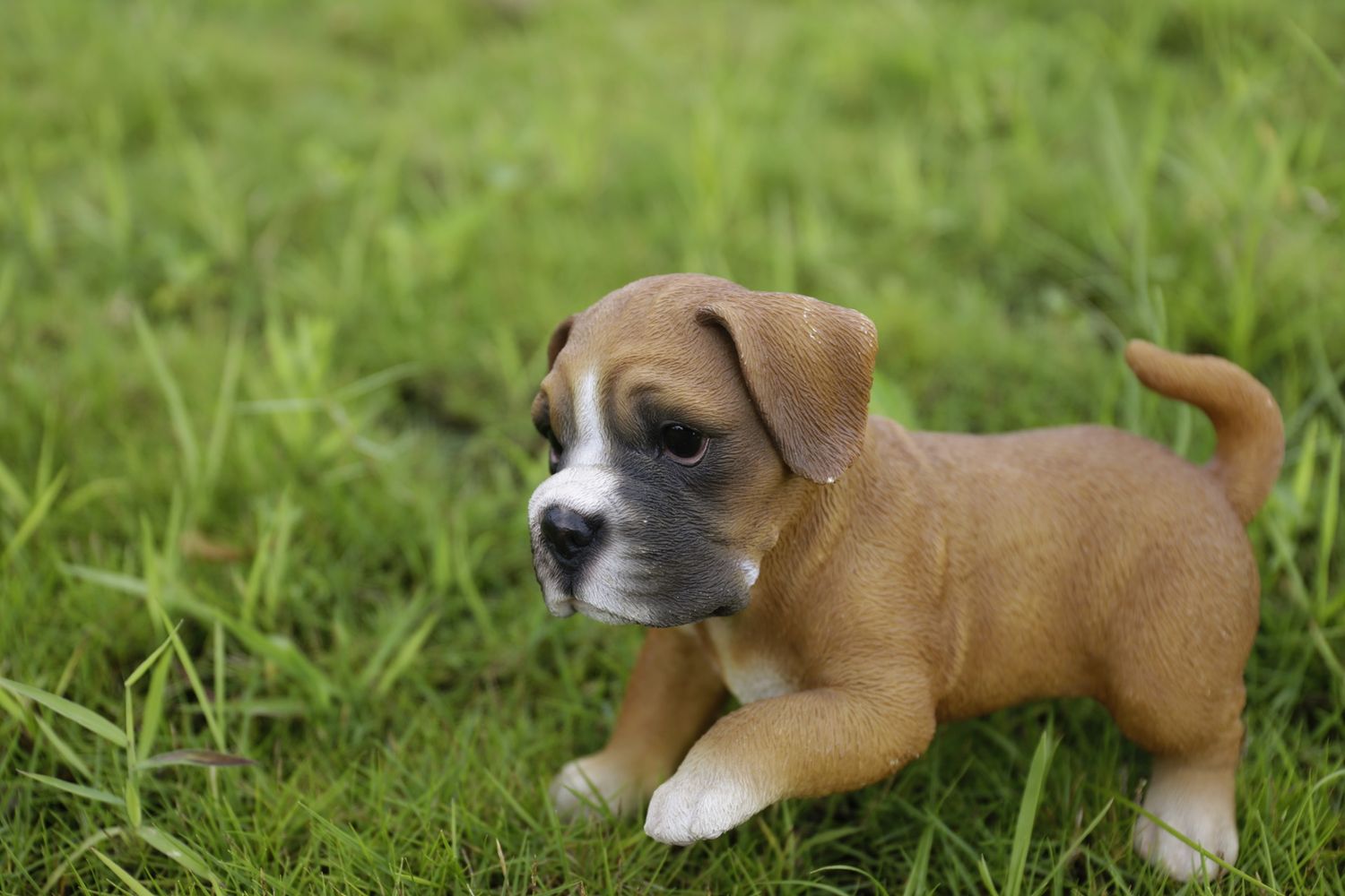 87703-D - BOXER PUPPY PLAYING / 5.71&quot; H