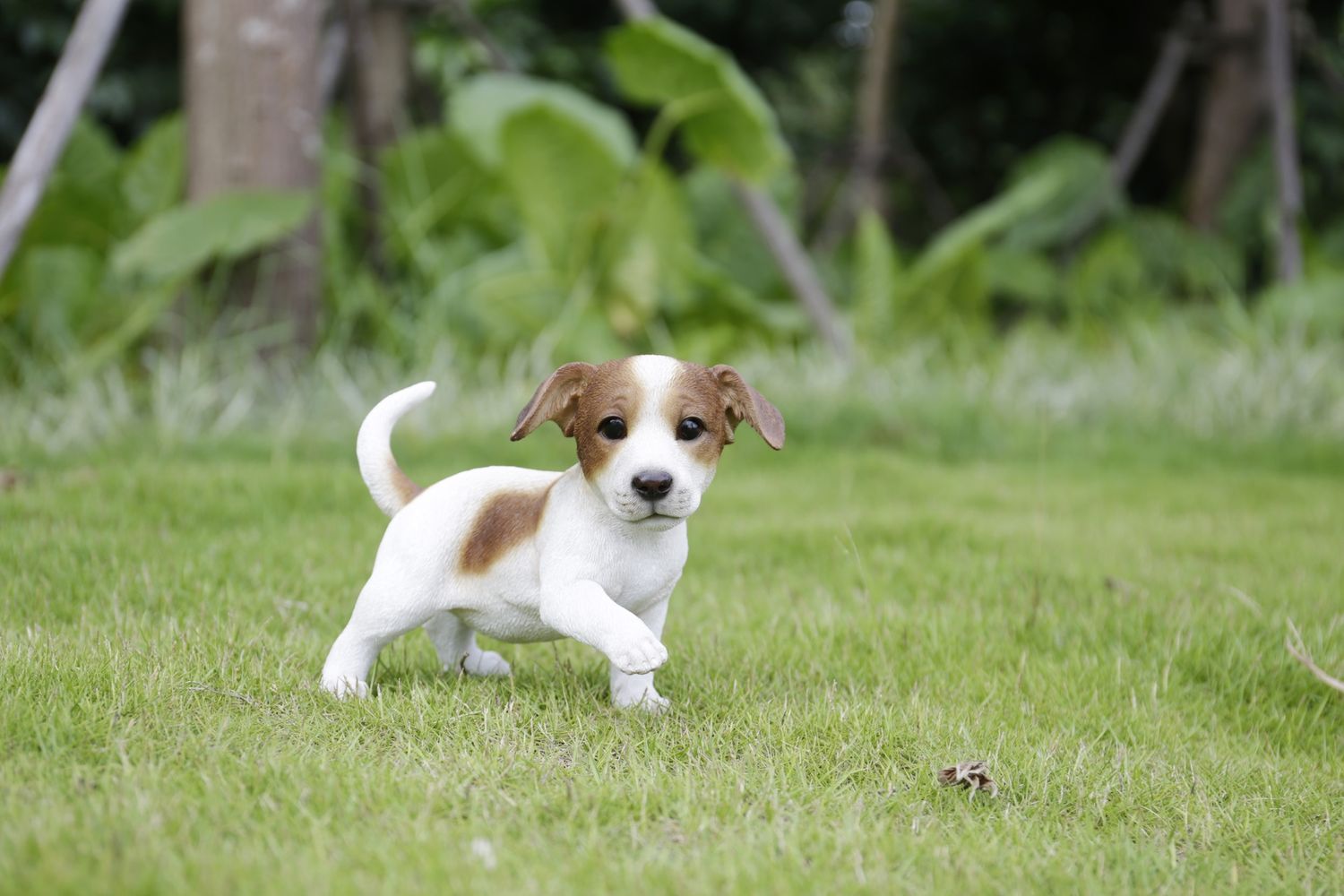 87703-E - JACK RUSSEL PUPPY PLAYING / 6.69&quot; H