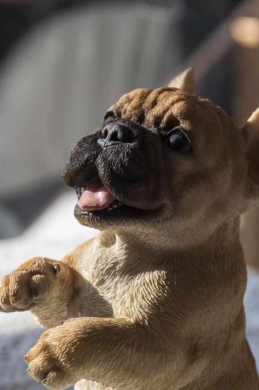 87703-R - STANDING FRENCH BULLDOG / 7.68&quot; H