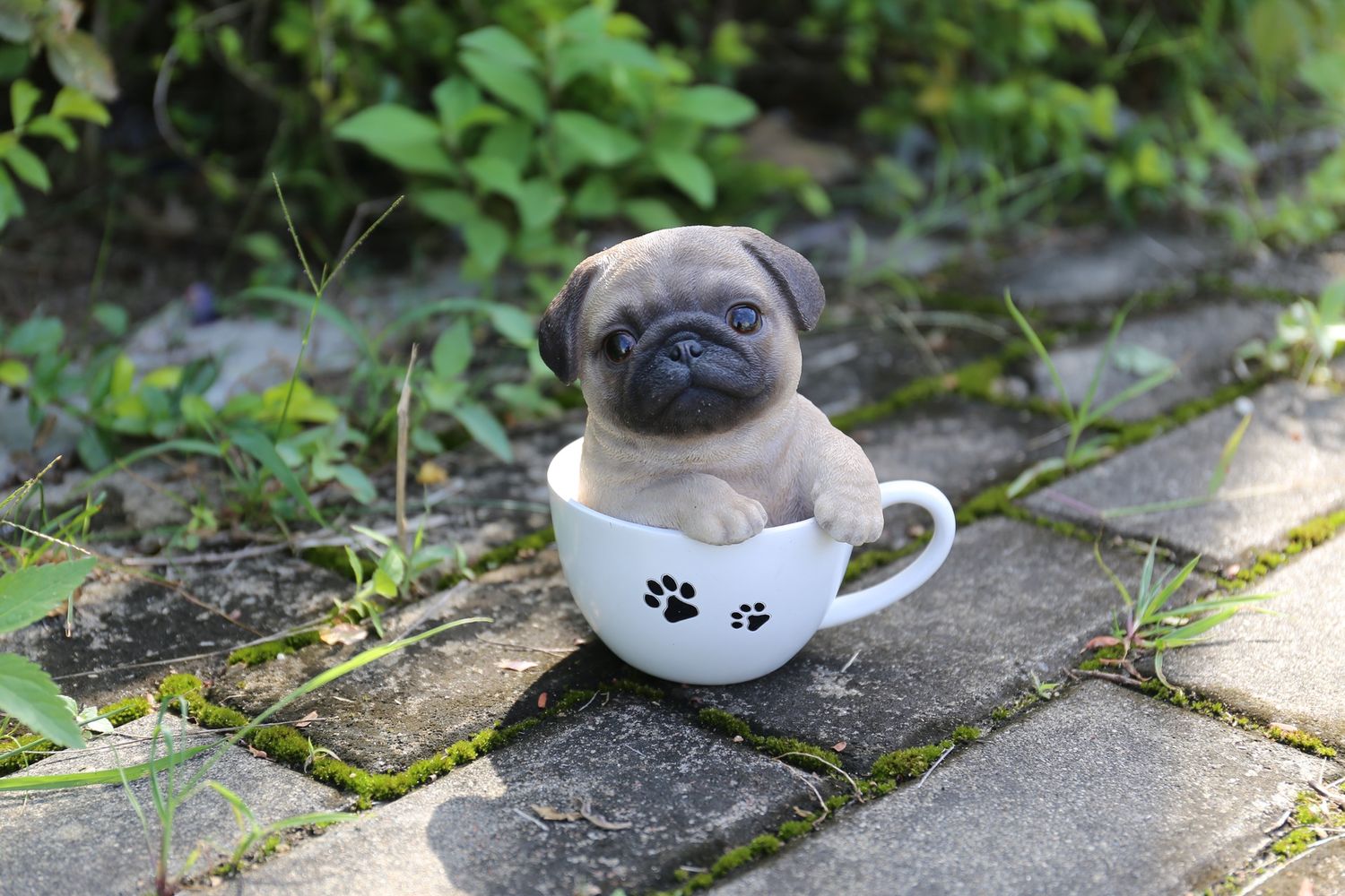 87706-B - TEACUP PUG PUPPY / 5.75&quot; H