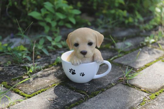 87706-A - TEACUP LABRADOR PUPPY / 5.5&quot; H