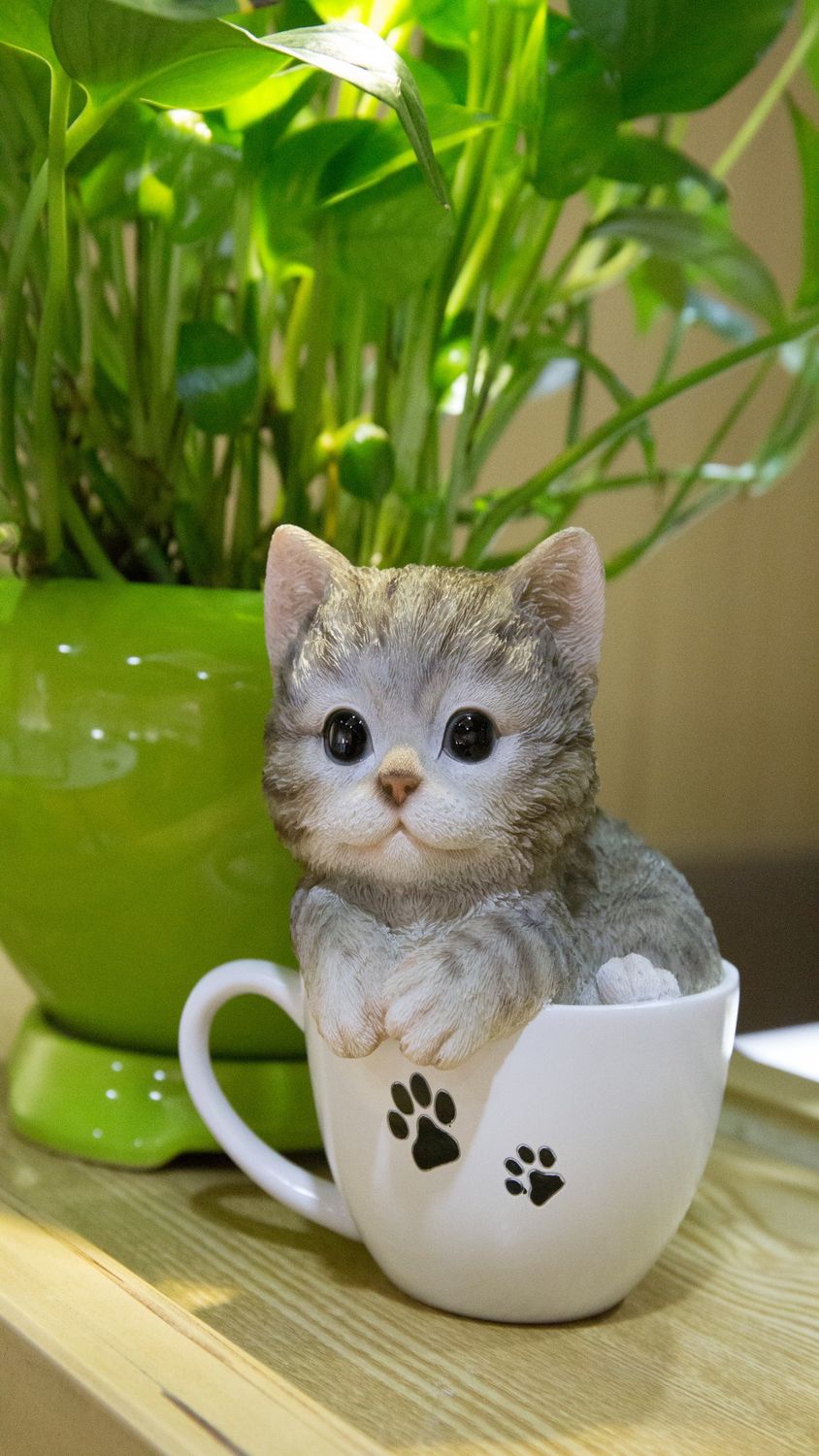 87707-B - TEACUP KITTEN GREY TABBY / 5.75&quot; H