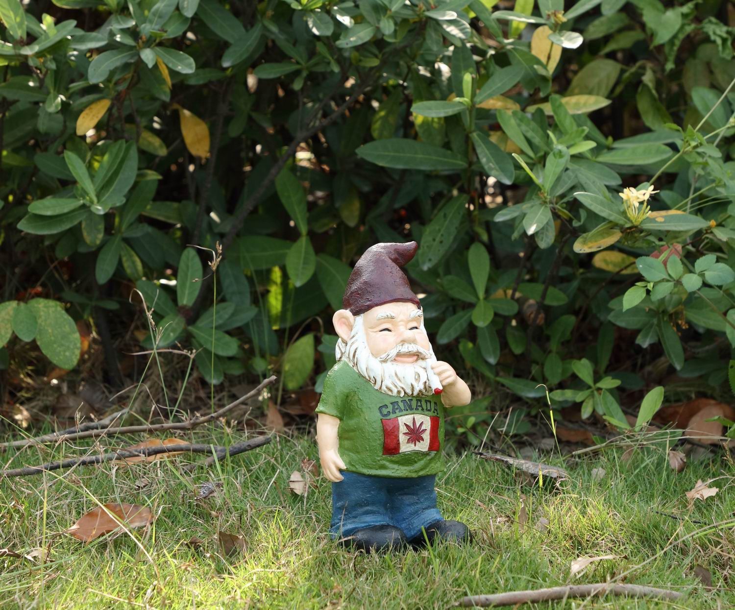 75616-V - GNOME W/CANADIAN FLAG SMOKING WEED / 9.75&quot; H