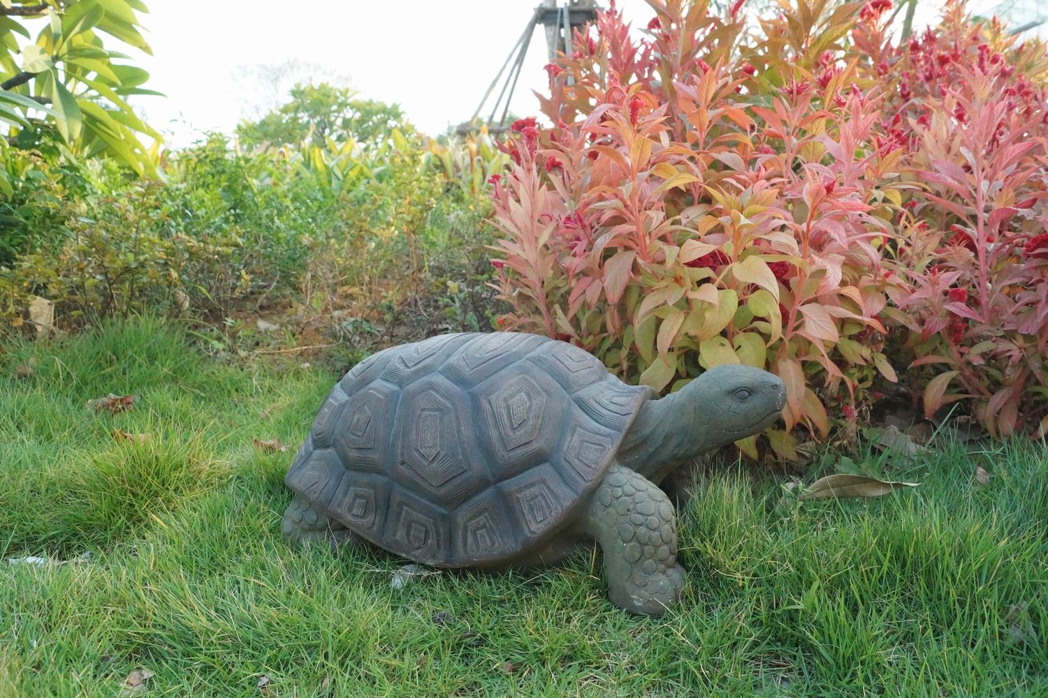 75629-C - TURTLE 21 INCH LONG / 9&quot; H