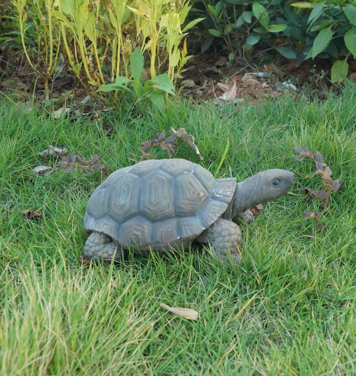 75629-D - TURTLE 10 INCH LONG / 4&quot; H