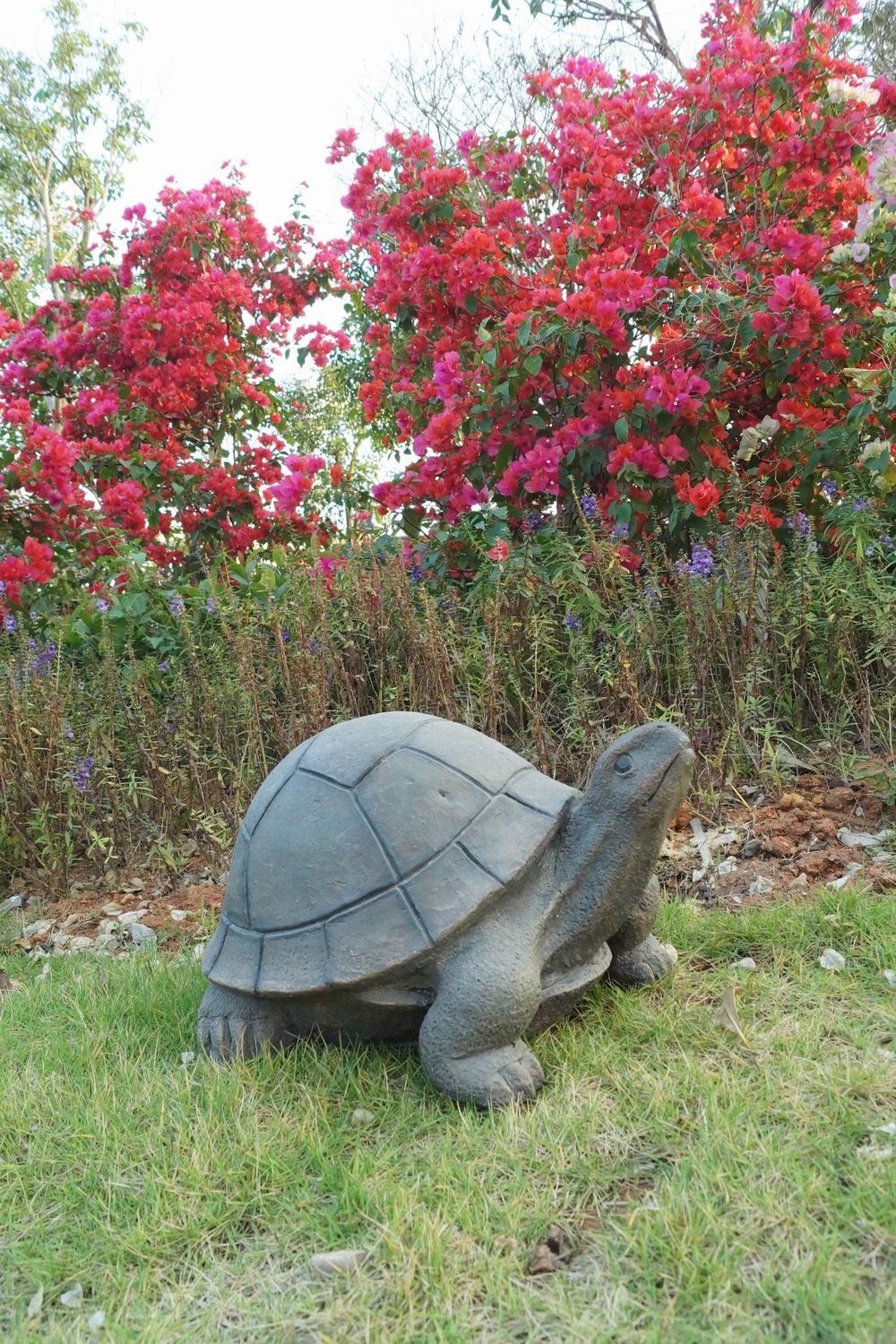 75629-E - TURTLE / 10.5&quot; H