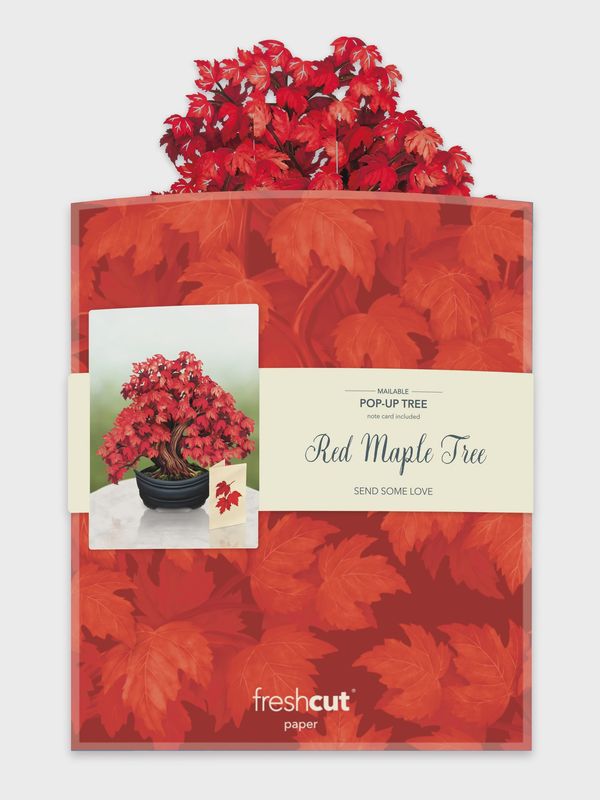 327-3740 - POP-UP FLOWER BOUQUET - RED MAPLE TREE