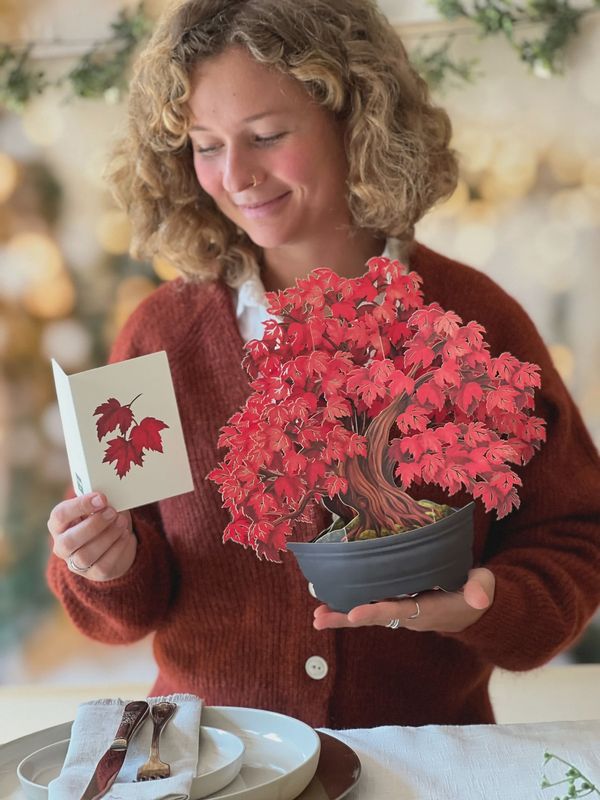327-3740 - POP-UP FLOWER BOUQUET - RED MAPLE TREE
