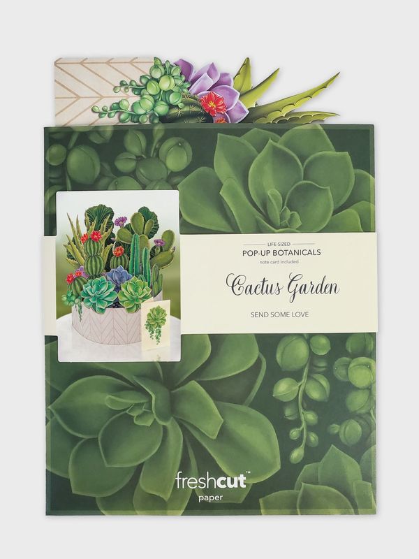 327-3721 - POP-UP FLOWER BOUQUET - CACTUS GARDEN