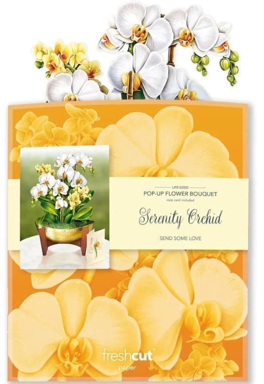 327-3727 - POP-UP FLOWER BOUQUET - SERENITY ORCHID
