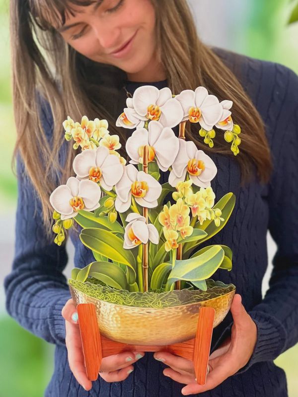 327-3727 - POP-UP FLOWER BOUQUET - SERENITY ORCHID