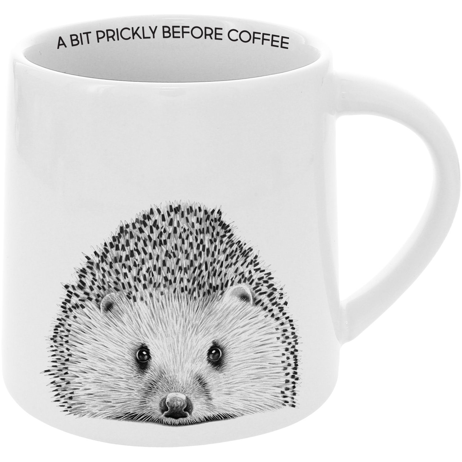 41289 - MUG - PRICKLY