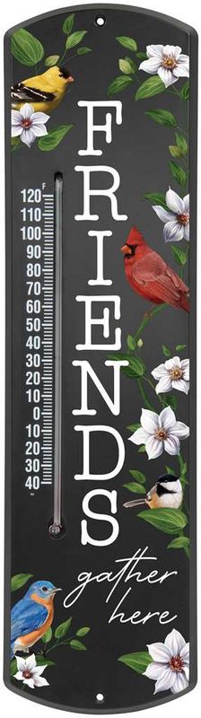 CS27543 - THERMOMETER-FRIENDS