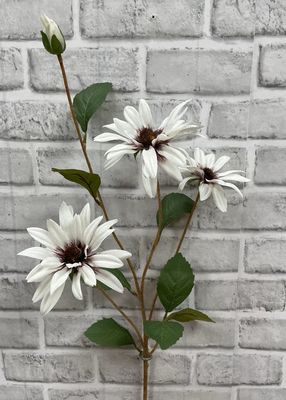 01016 W - 32.5&quot; WHITE BLACK EYE SUSAN STEM