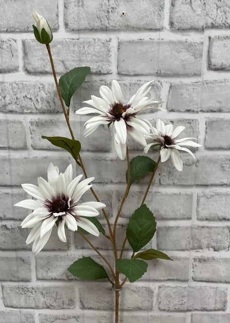 01016 W - 32.5&quot; WHITE BLACK EYE SUSAN STEM