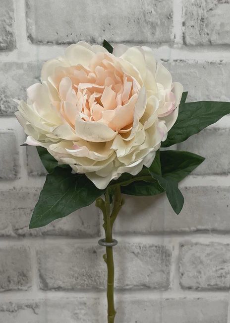 01007 B - 23&quot; BLUSH FRESH TOUCH PEONY STEM