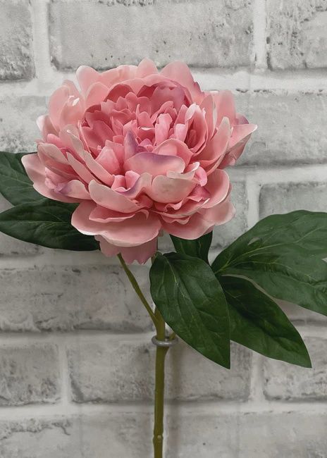 01007 P - 23&quot; PINK FRESH TOUCH PEONY STEM