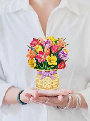 327-7411 - MINIPOP UP FESTIVE TULIPS