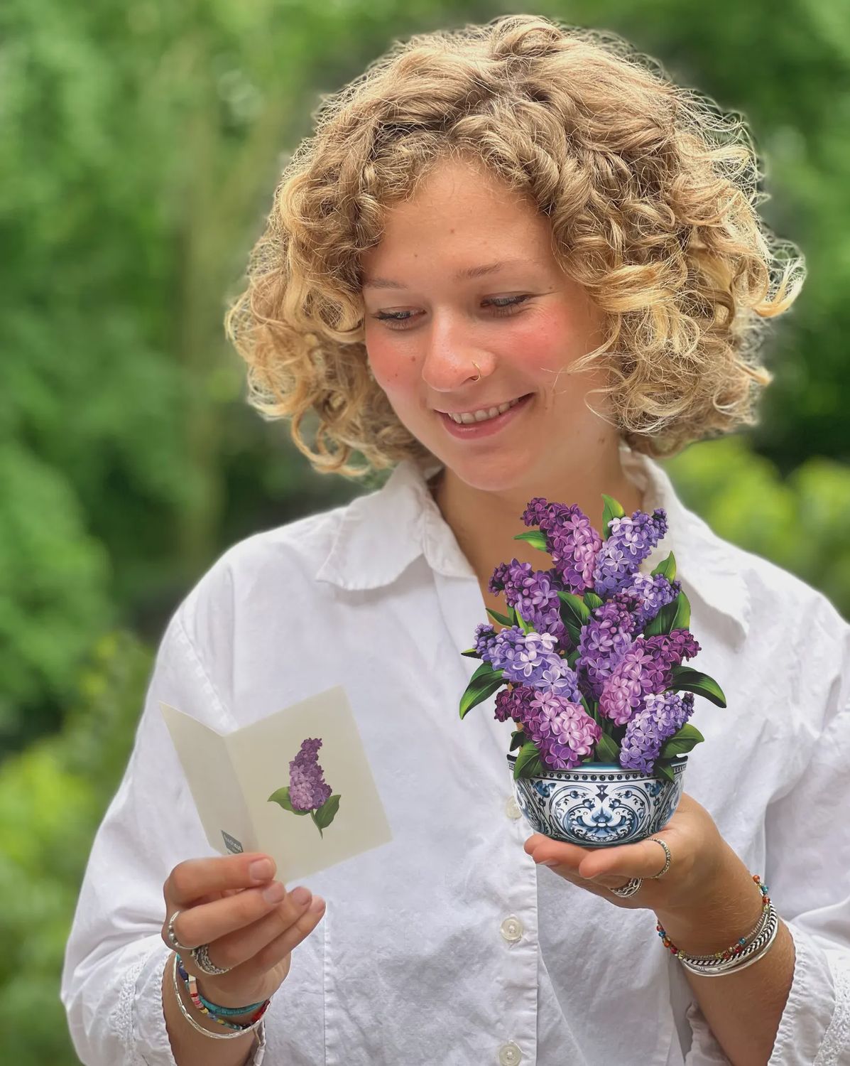 239-7422 - MINIPOP UP GARDEN LILACS