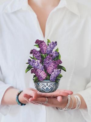 239-7422 - MINIPOP UP GARDEN LILACS