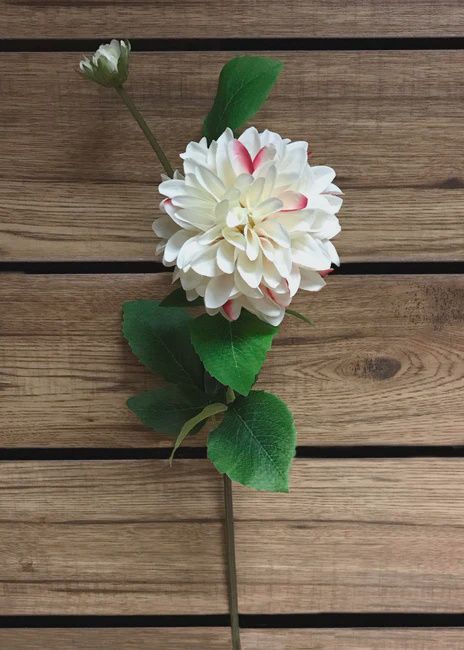 00960WPK - DAHLIA SPRAY - WHITE/PINK