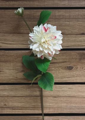 00960WPK - DAHLIA SPRAY - WHITE/PINK