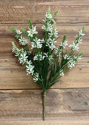 11367W - SWEET VERONICA BUSH - WHITE