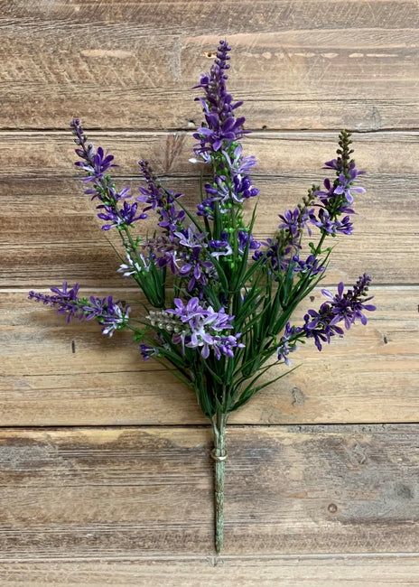 11367PUR - SWEET VERONICA BUSH - PURPLE