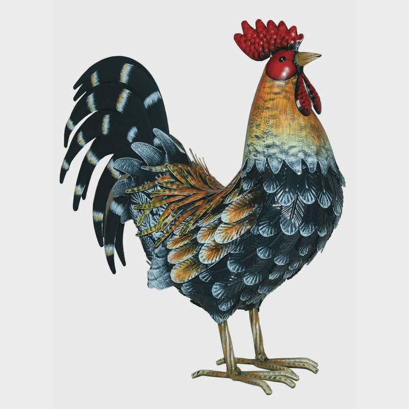 GG9170 - ROOSTER