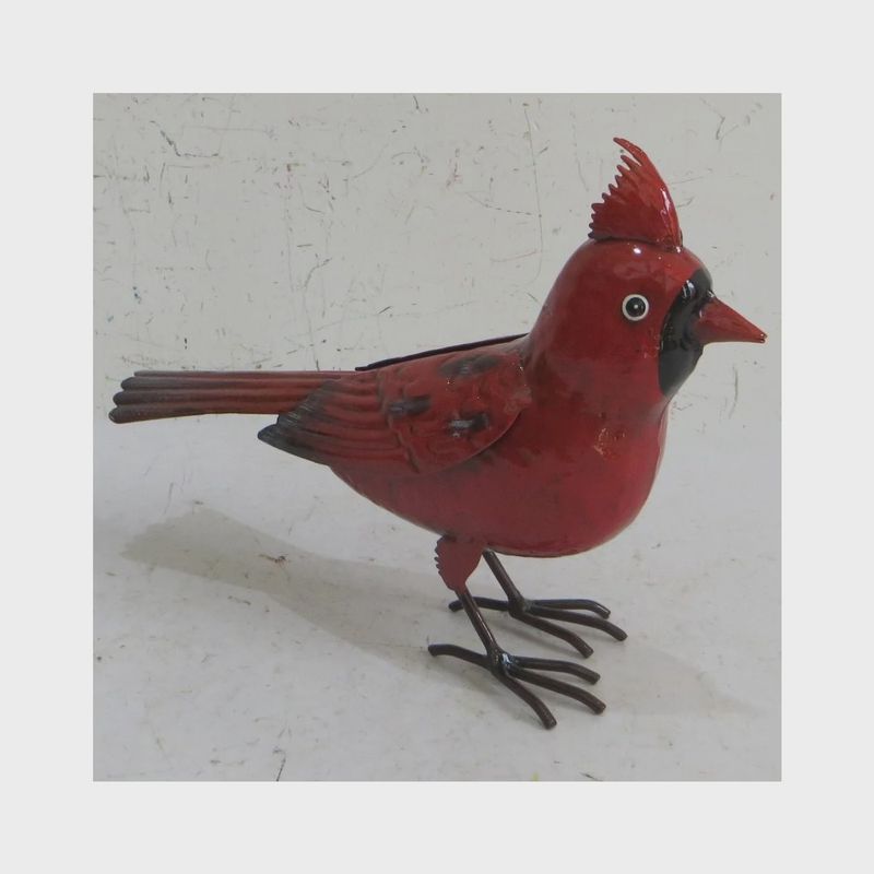 GG9653 - CARDINAL