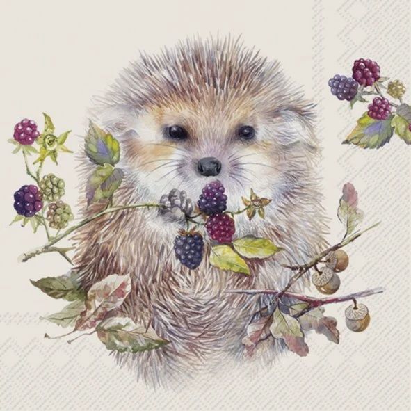 C1082160 - COCKTAIL NAPKIN / FOREST HEDGEHOG CREAM