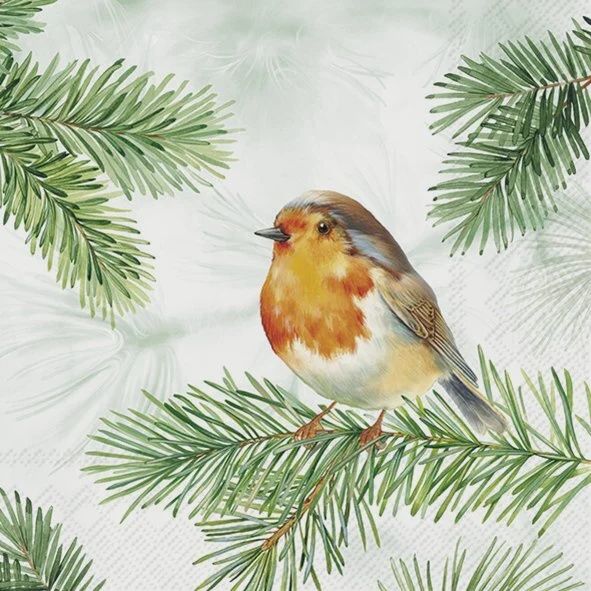 C1087120 - COCKTAIL NAPKIN / CHARMING ROBIN GREEN